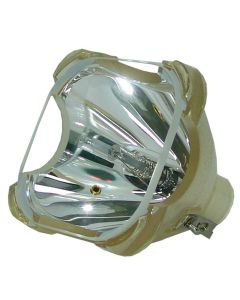 OB0163_1.jpg