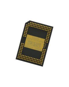 PP-DMD-010.jpg