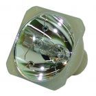 Original Philips (UHP) Nackte Lampe (#OB0116)