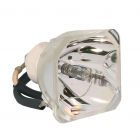 Original Ushio (NSH) Nackte Lampe (#OB0173)