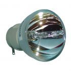 Original Osram (P-VIP) Nackte Lampe (#OB0201)