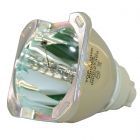 Original Philips (UHP) Nackte Lampe (#OB0228)