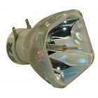 Original  Nackte Lampe (#OB0238)