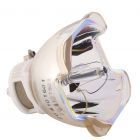 Original Ushio (NSHA) Nackte Lampe (#OB0399)