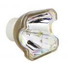 Original Ushio (NSHA) Nackte Lampe (#OB0423)