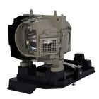 QualityLamp Modul 1007582 / 20-01501-20 / SP.8KB01GC01 (#QL0819)