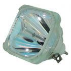 Original Philips (UHP) Nackte Lampe (#OB0072)