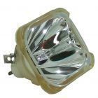 Original Philips (UHP) Nackte Lampe (#OB0142)