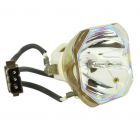 Original Ushio (NSHA) Nackte Lampe (#OB0252)