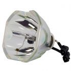 Original Ushio (NSH) Nackte Lampe (#OB0432)